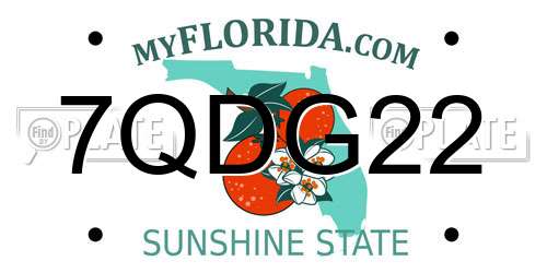 7QDG22 Florida License Plate