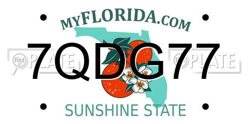 7QDG77 Florida License Plate