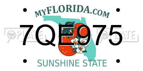 7QE975 Florida License Plate