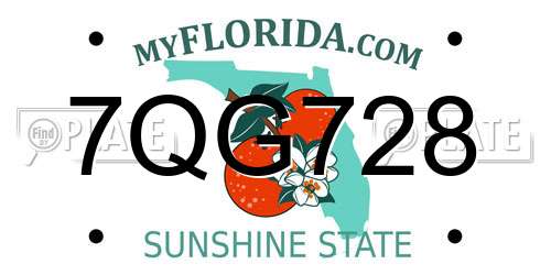 7QG728 Florida License Plate