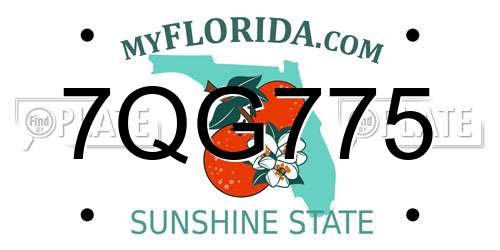7QG775 Florida License Plate