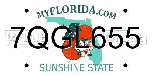 7QGL655 Florida License Plate