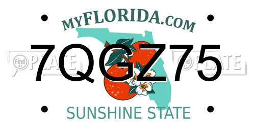 7QGZ75 Florida License Plate