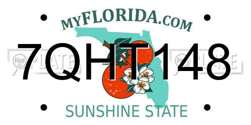 7QHT148 Florida License Plate