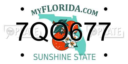7QO677 Florida License Plate