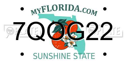 7QOG22 Florida License Plate