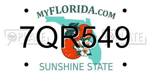7QR549 Florida License Plate