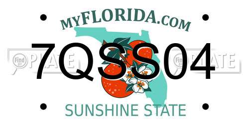 7QSS04 Florida License Plate