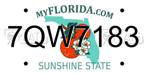 7QW7183 Florida License Plate