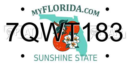 7QWT183 Florida License Plate
