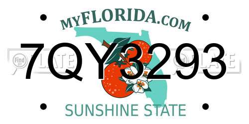 7QY3293 Florida License Plate