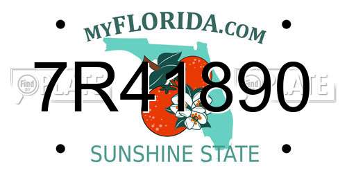 7R41890 Florida License Plate