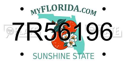 7R56196 Florida License Plate
