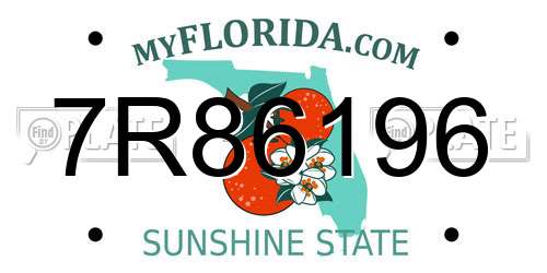 7R86196 Florida License Plate