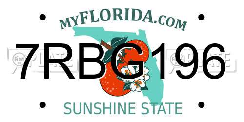 7RBG196 Florida License Plate