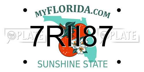 7RII87 Florida License Plate
