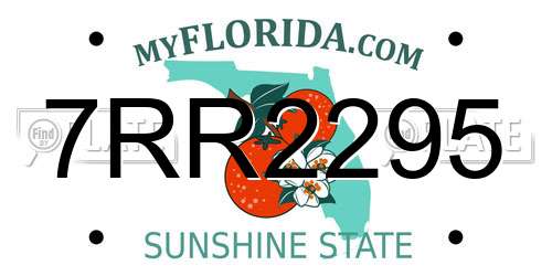7RR2295 Florida License Plate