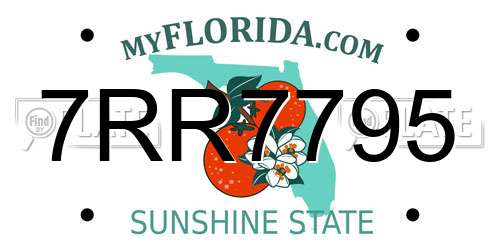 7RR7795 Florida License Plate