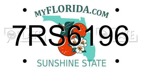 7RS6196 Florida License Plate