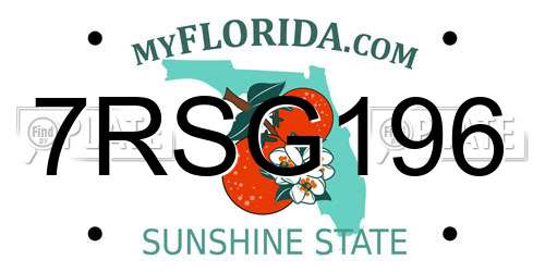 7RSG196 Florida License Plate