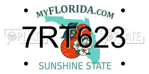 7RT623 Florida License Plate