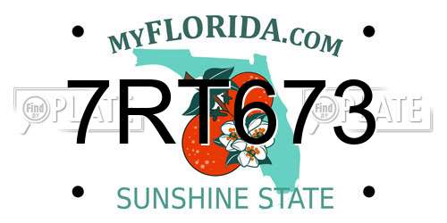 7RT673 Florida License Plate