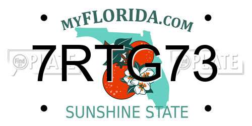 7RTG73 Florida License Plate