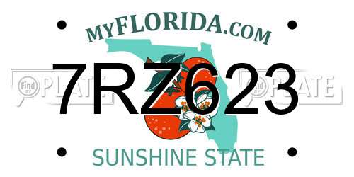 7RZ623 Florida License Plate