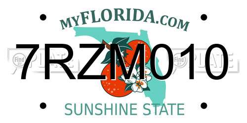 7RZM010 Florida License Plate