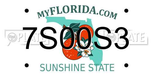7S00S3 Florida License Plate