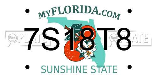 7S18T8 Florida License Plate