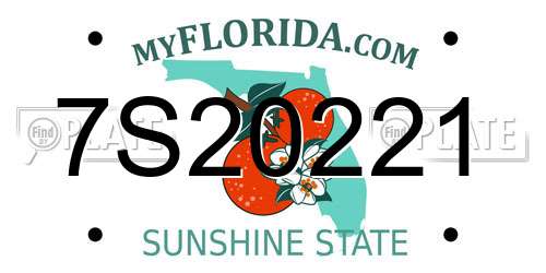 7S20221 Florida License Plate