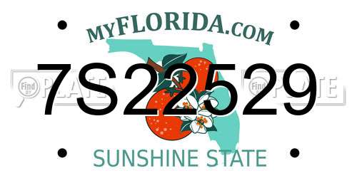 7S22529 Florida License Plate