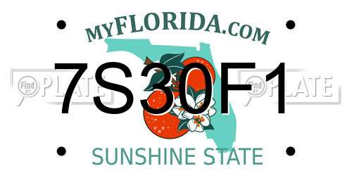 7S30F1 Florida License Plate