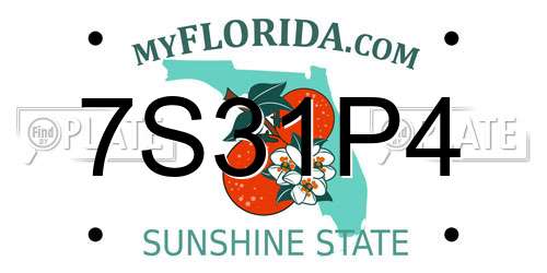 7S31P4 Florida License Plate