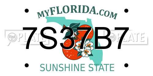 7S37B7 Florida License Plate