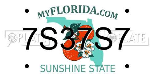 7S37S7 Florida License Plate