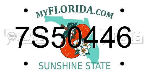 7S50446 Florida License Plate