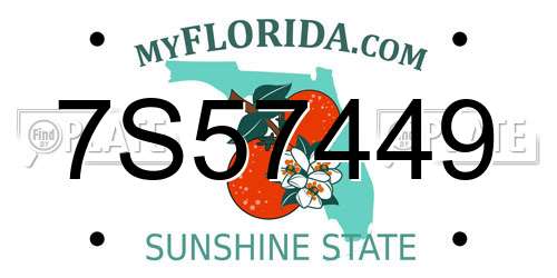 7S57449 Florida License Plate