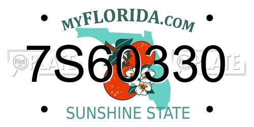 7S60330 Florida License Plate
