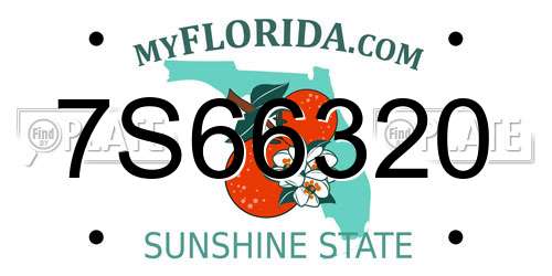 7S66320 Florida License Plate