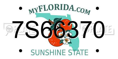 7S66370 Florida License Plate