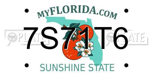 7S71T6 Florida License Plate