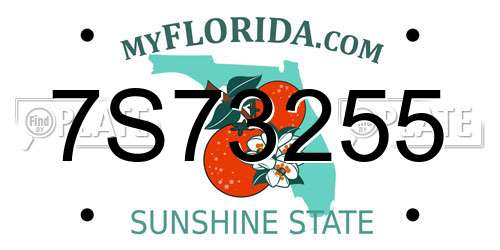 7S73255 Florida License Plate