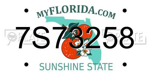 7S73258 Florida License Plate