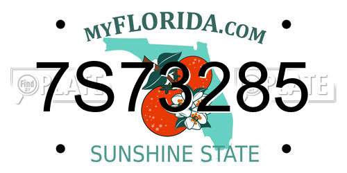 7S73285 Florida License Plate