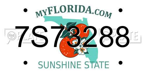 7S73288 Florida License Plate