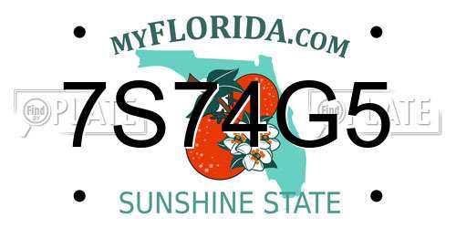 7S74G5 Florida License Plate