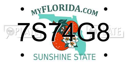 7S74G8 Florida License Plate