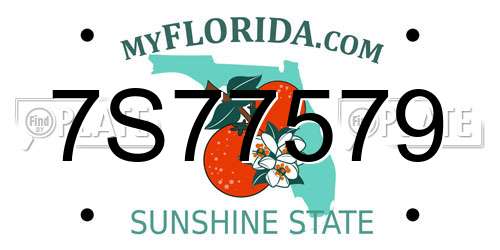 7S77579 Florida License Plate